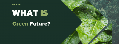 What is a Green Future?